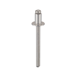 #AD42ABS, Rivets,  1/4 (head) x 1/8 (diameter)