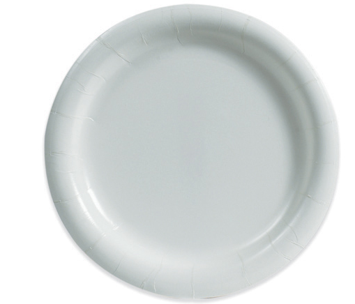 Plates,Paper, 9" Medium-Duty, 500/cs