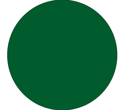 DL611D 1" Green Rnd Inv Label 500/Roll