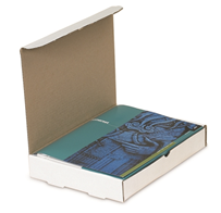 10 x 10 x 2" Protective Literature Mailer, 50/bndl,